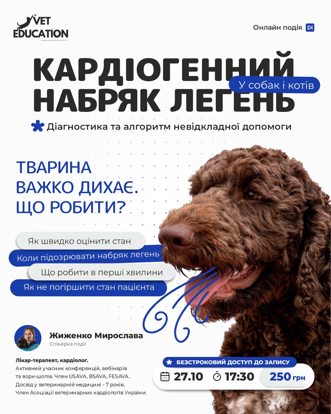 27.10 жиженко